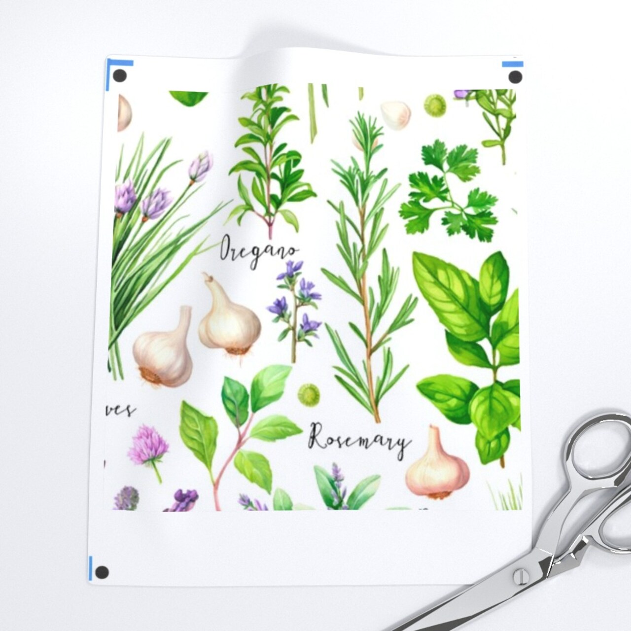 Cooking Ingredients Green Herbs Sage Garlic Rosemary Parsely Chives Oregano Basil Custom Printed Fabric by Spoonflower Various Fabrics by the Yard or Fat Quarter